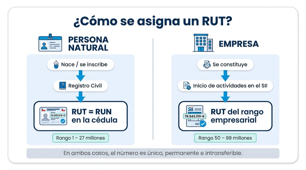 Comparación de cómo se asigna el RUT a una persona y a una empresa en Chile